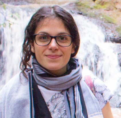 author, lou del bello, journalist, climate diplomacy, energy, india