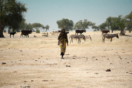 Lake Chad, climate, conflict