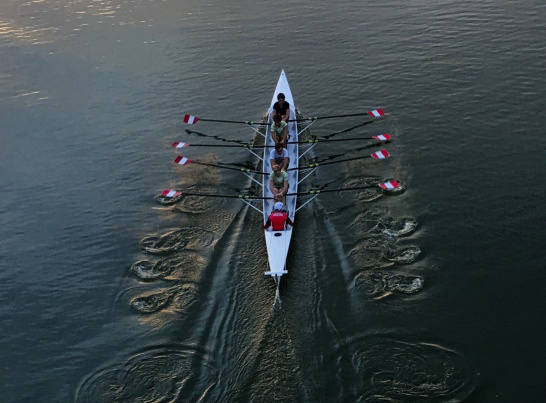 Team work, rowing, boa, water, sea, sport
