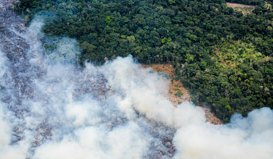 Burning forest in the Nukak Maku Indigenous Reserve in the Colombian Amazon. 