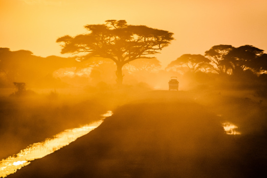 Kenya, Africa, sunset, dry, drought, desert, tree