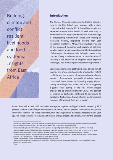 Building_climate_and_conflict_resilient_livelihoods_and_food_systems_Insights_from_East_Africa_COVER