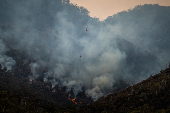Fingal Tasmania, Australia, forest fire