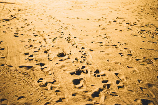 footsteps, sand, migration