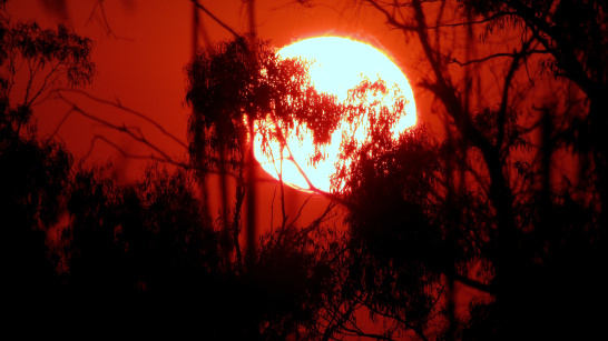 sun, sunset, heat, Australia
