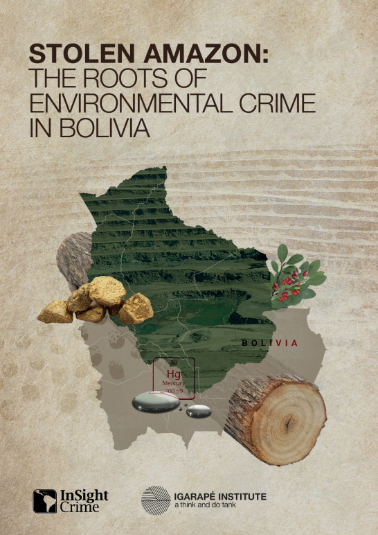 Stolen Amazon: the roots of environmental crime in Bolivia