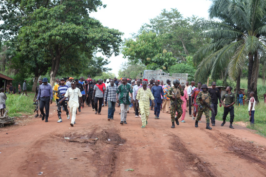 Nigeria, Weathering Risk Peace Pillar, boundary demarcation