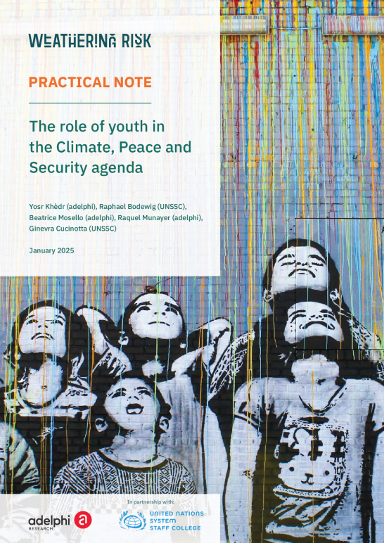 The role of youth in the Climate, Peace and Security agenda