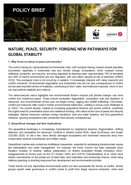 Nature, peace, security: forging new pathways for global stability 