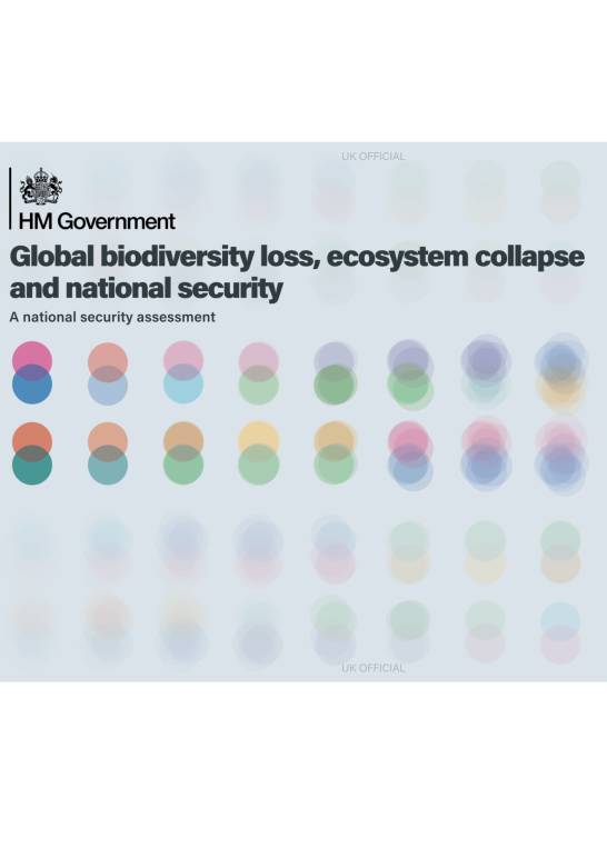 national security assessment global biodiversity loss gov uk