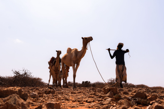 Somalia