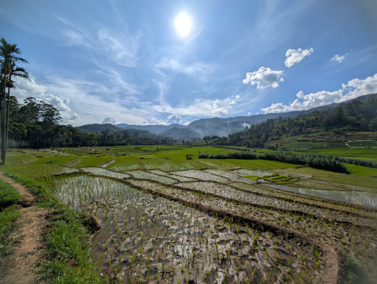Sri Lanka