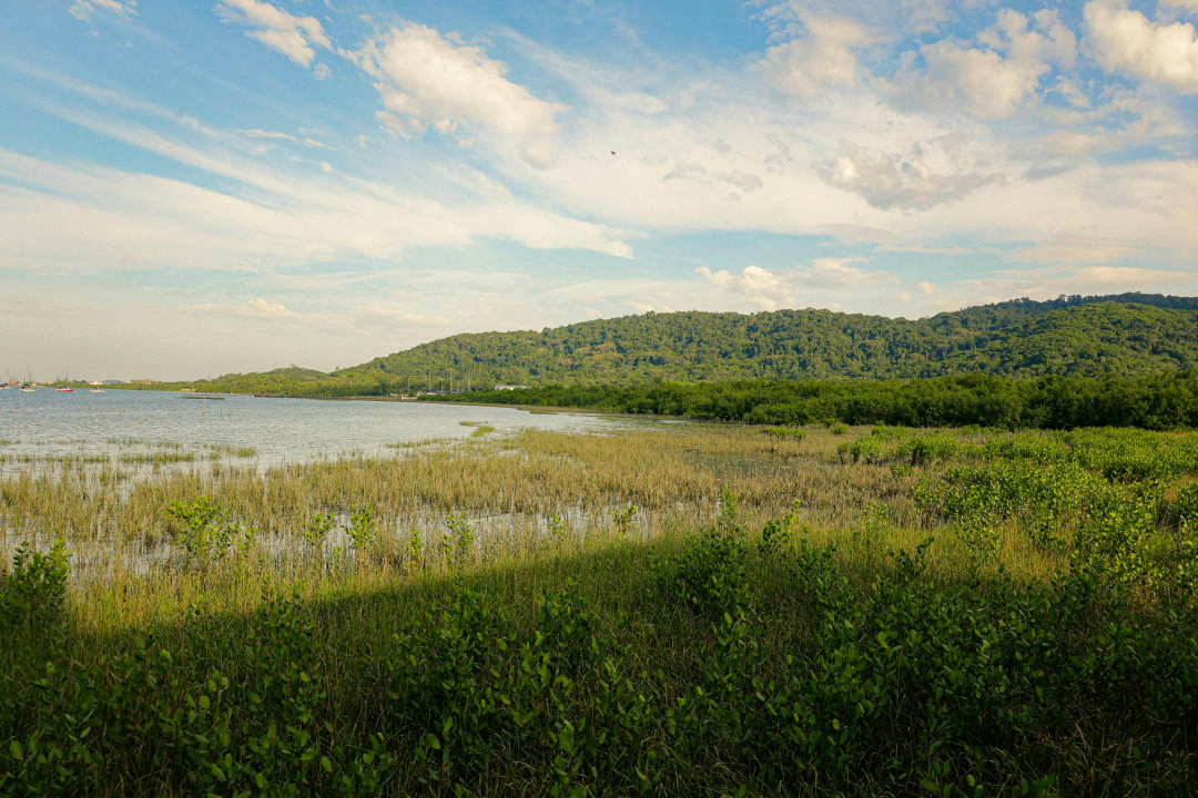 How cryptocurrency mining could threaten South America’s wetlands and dry forests