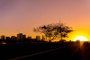 Brasília, Brazil, Cerrado, sunset, buildings, street
