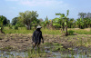 cyclone aftermath, Idai, Kenneth, Mozambique