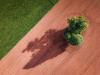 tree, agricultural land use, field