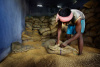 Grain Storage, Pataura, East Champaran, Bihar Province, India, South Asia