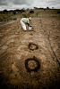 small-scale farmer, ada00820bra, Brazil, South America, Latin