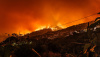 forest fire, portugal, europe