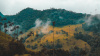 Cocora Valley, Colombia, nature reserve, national park, forest, palm