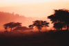 Kigali, Rwanda, sunrise, nature, Africa, landscape
