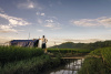 water, rice paddy, field, irrigation