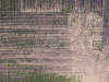 Land, degraded, agriculture
