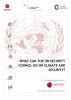 What Can the UN Security Council Do on Climate Change and Security_Cover