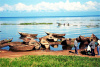 Boats on the shore of Lake Victoria, Uganda