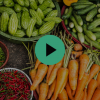 Podcast_episode 10_food insecurity climate change