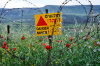 minefield, mines, warning, flowers, israel