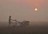 man, farmer, bangladesh, sun, tractor