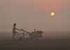 man, farmer, bangladesh, sun, tractor