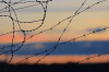 barbed wire, conflict, war, military.jpg