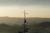 Gondar, ethiopia, bird, tree, landscape