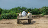 Sindh, Pakistan, Asia, farmer, drought, dry