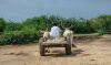 Sindh, Pakistan, Asia, farmer, drought, dry