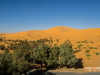landscape, Algeria, Africa, North Africa, nature, desert, trees, desertification, land