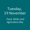 19 November