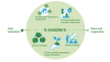 Ground for Peace: Key enablers for land restoration to promote peace and cooperation