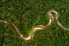 Amazon rainforest, south america, latin america, landscape, forest, birdseye view, nature, environment, river, biodiversity, conservation, preservation, brazil, peru