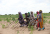 Women farmers in Edelbida village, North Darfur, Sudan, africa, farming, food, community, nature