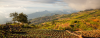 landscape, farm, sky, nature biodiversity - CD homepage banner