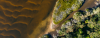 landscape, nature, plants, birdseye view - CD homepage banner