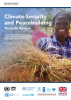 Thematic Review on Climate Security and Peacebuilding 2023