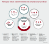 Pathways of climate and environmental risks to human security in Brazil