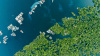 Tefé, Brazil, south america, latin america, LAC, water, forest, biodiversity, boats
