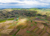 Kenya farm 