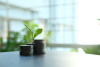 climate finance coins