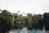 Peru amazon rainforest trees boat